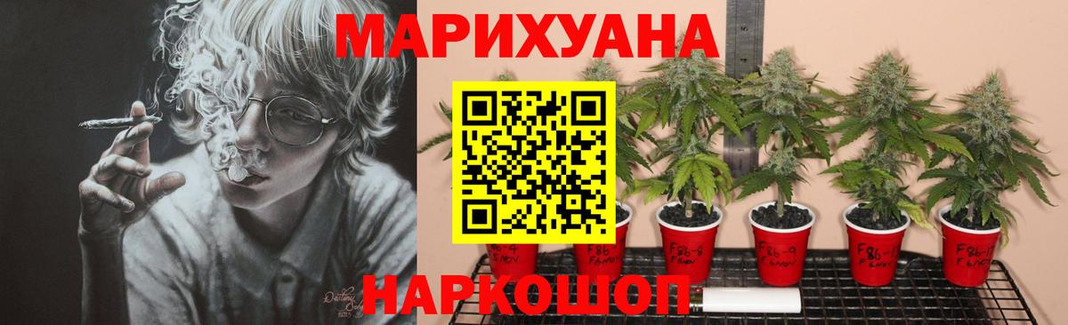 Марихуана VHQ  Вход с VPN  Елабуга  Каннабис White Widow 